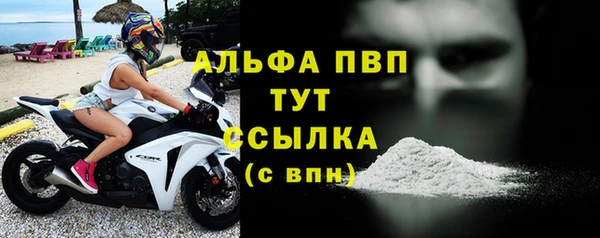 мдпв Богданович