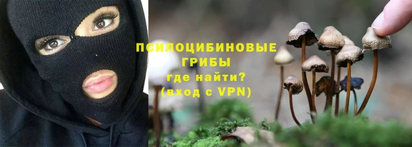 сатива Богородицк