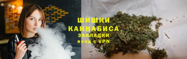 мдпв Богданович