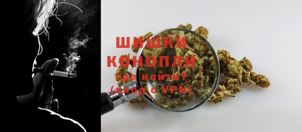 мдпв Богданович