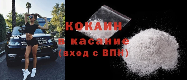 сатива Богородицк